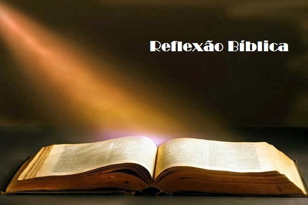 biblia-abertajpg13021102549pm