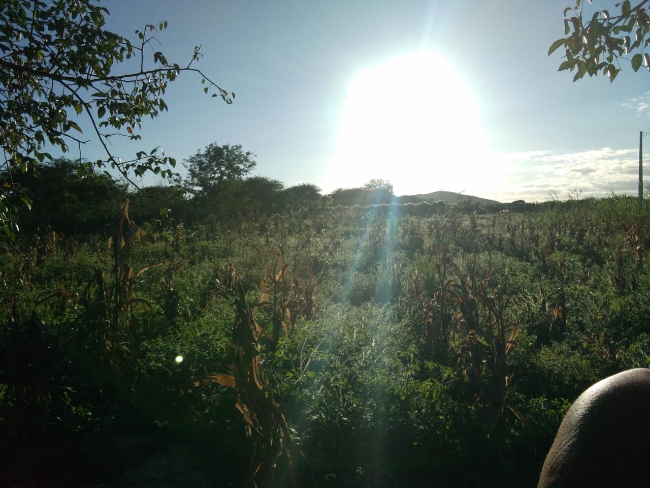 FOTO DE TADEU