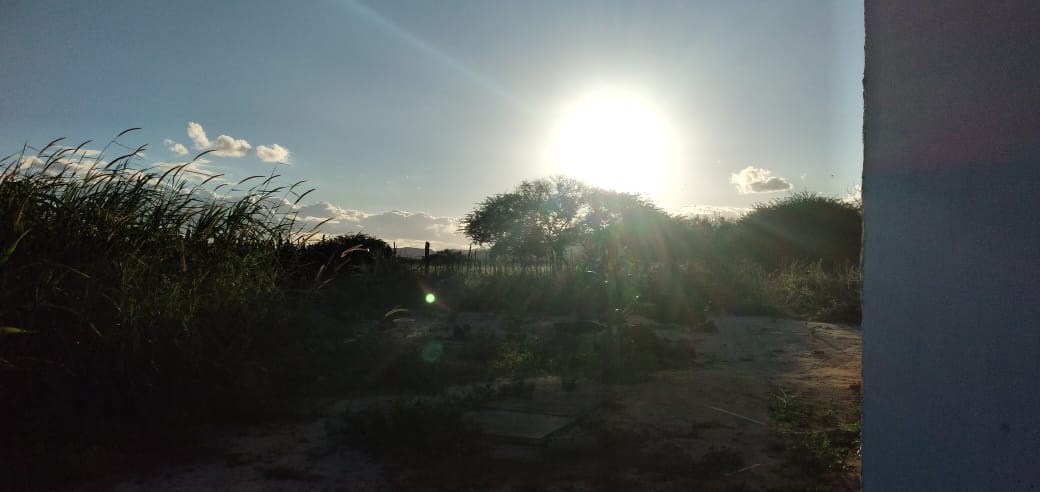 sol pela manhã