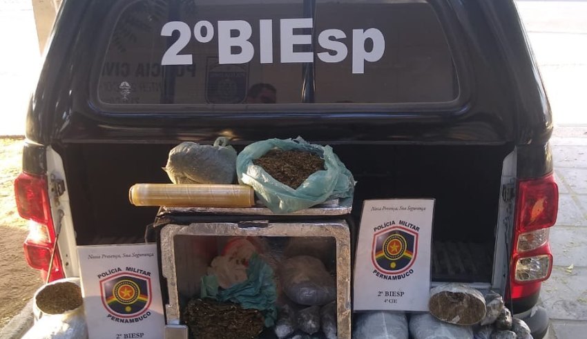 maconha cohab