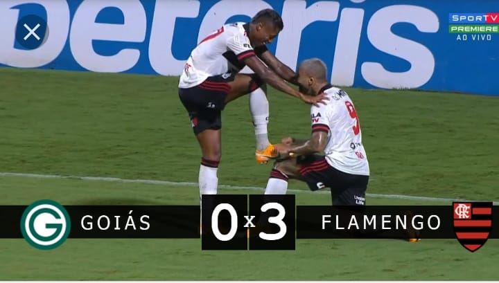 goias x flamengo