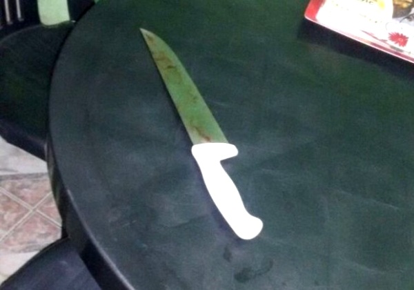 mulher frita penis