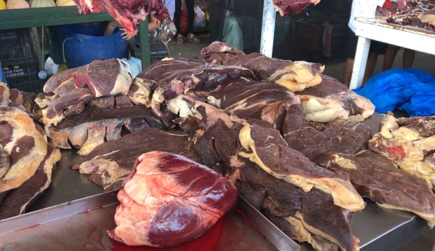 carne jose e maria