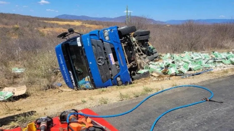 alho ba IMG-20230924-WA0010_crop_galeria-3