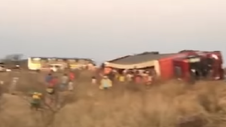 cerveaja Sem-titulo-144